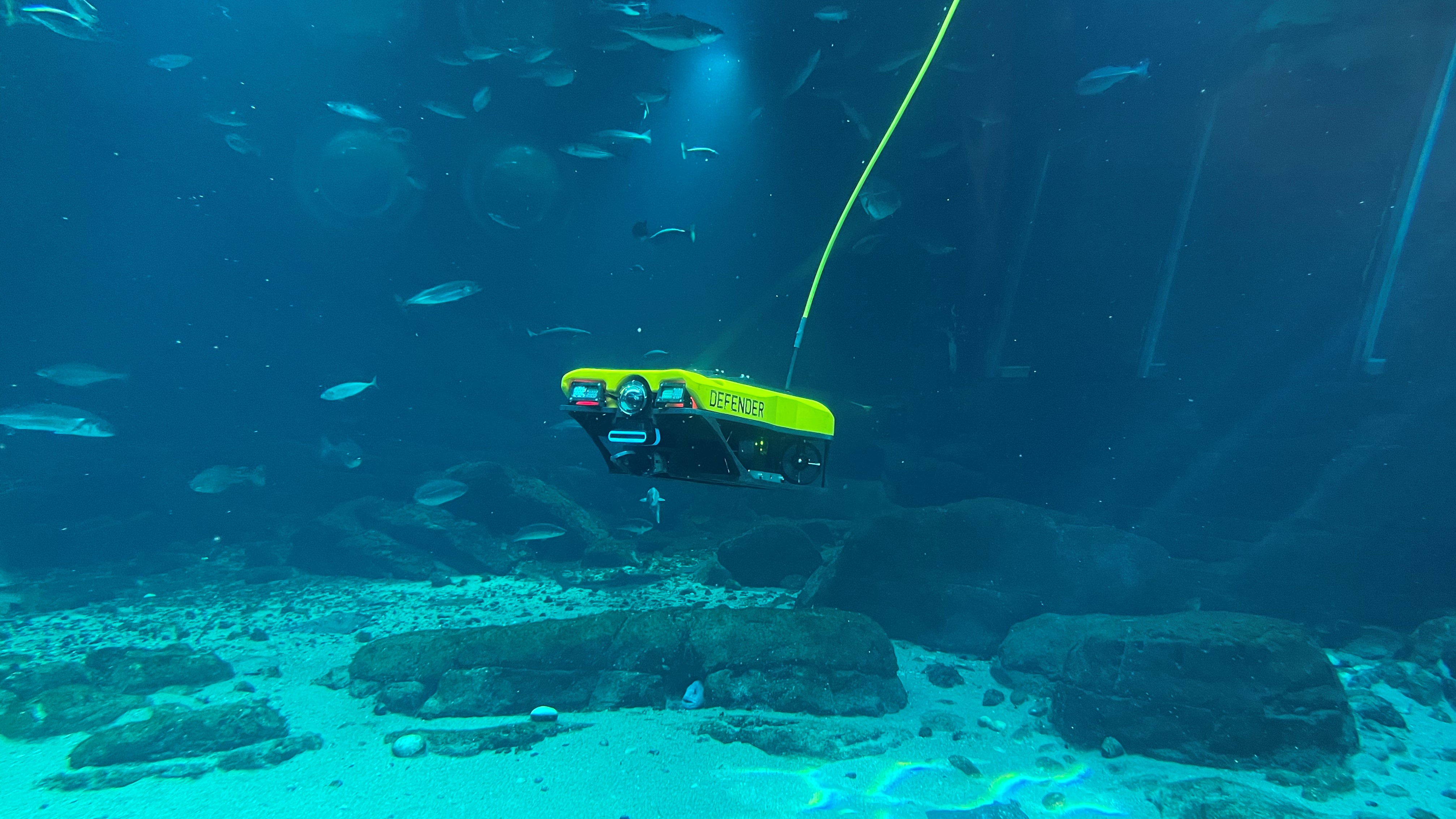 Defender ROV